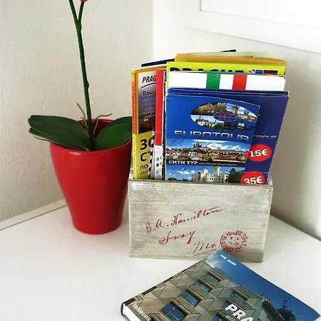 Apartment Art With Garage *